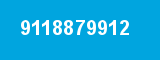 9118879912