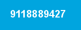 9118889427