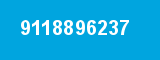 9118896237