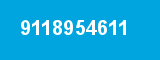 9118954611
