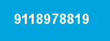 9118978819