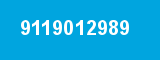 9119012989