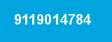 9119014784