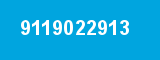 9119022913