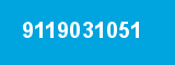 9119031051 9119031051