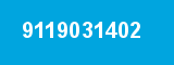 9119031402