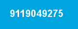 9119049275