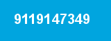 9119147349
