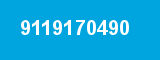 9119170490