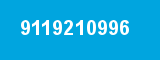 9119210996