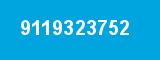 9119323752