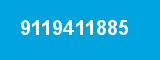 9119411885
