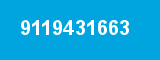 9119431663