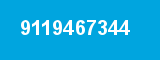 9119467344