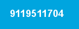 9119511704