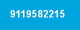 9119582215
