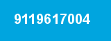9119617004