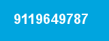 9119649787