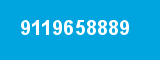 9119658889