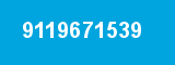 9119671539