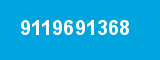 9119691368 9119691368