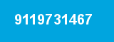 9119731467