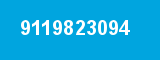 9119823094