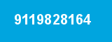 9119828164