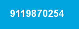 9119870254