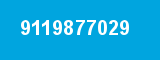 9119877029