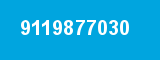 9119877030