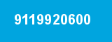 9119920600