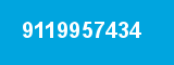 9119957434