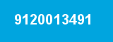 9120013491