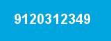 9120312349