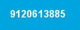 9120613885