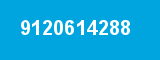 9120614288