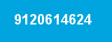 9120614624