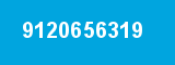 9120656319