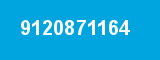 9120871164
