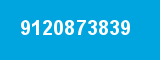 9120873839