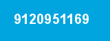 9120951169