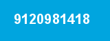 9120981418
