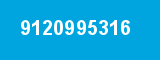 9120995316