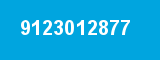 9123012877 9123012877