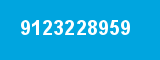 9123228959