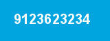 9123623234