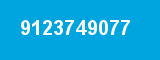 9123749077