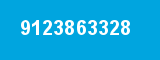 9123863328