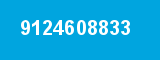 9124608833